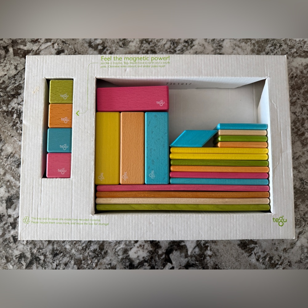 Tegu Magnetic Blocks